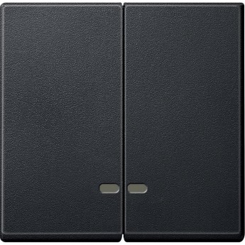 Клавиша двойная SCHNEIDER ELECTRIC MERTEN с окном для световой индикации, АНТРАЦИТ, SM Клавиша двойная SCHNEIDER ELECTRIC MERTEN с окном для световой индикации, АНТРАЦИТ, SM